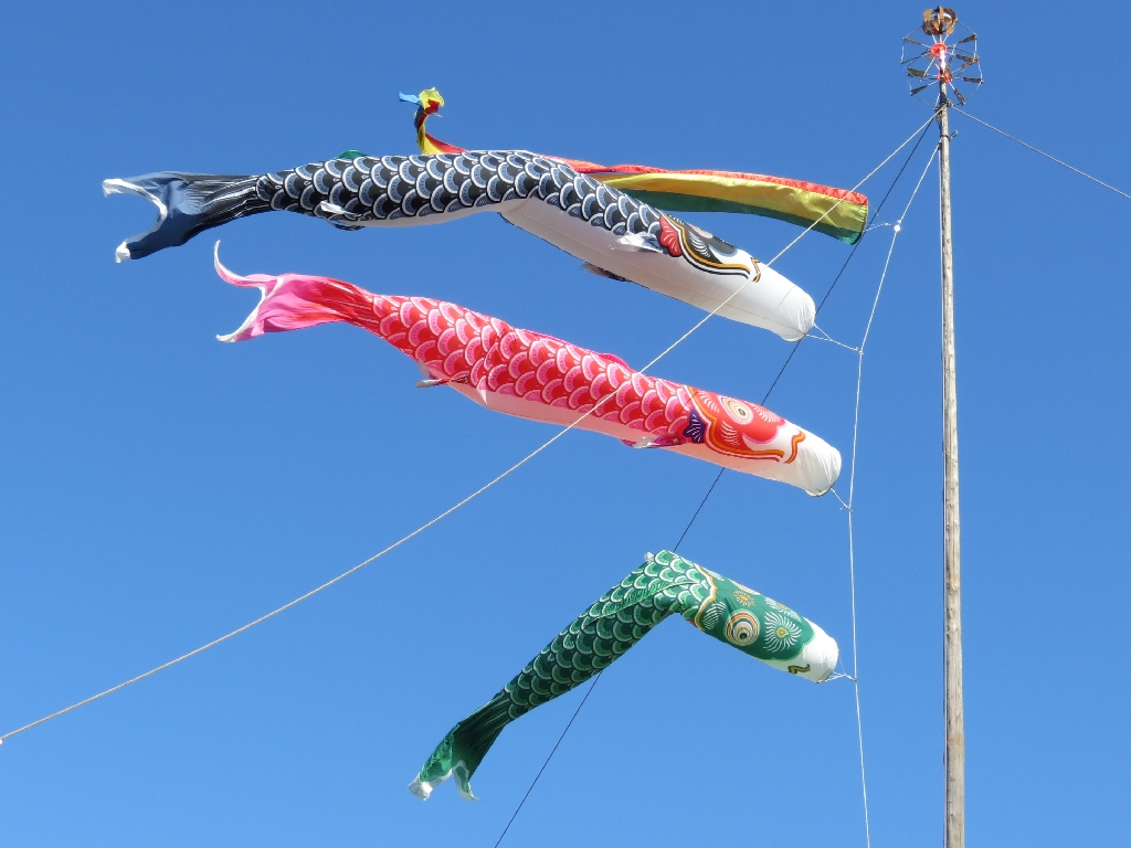kasai koinobori